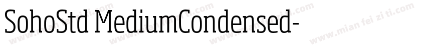SohoStd MediumCondensed字体转换